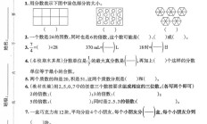人教版数学五年级下册期中-2