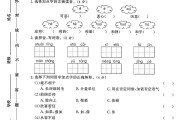 人教版语文四年级下册期中卷-5