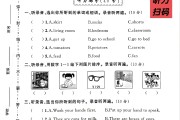 人教版英语四年级下册期末卷-素养评估-答案