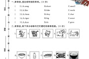 外研版英语三年级下册期中卷-素养评估