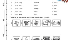 外研版英语三年级下册期中卷-素养评估