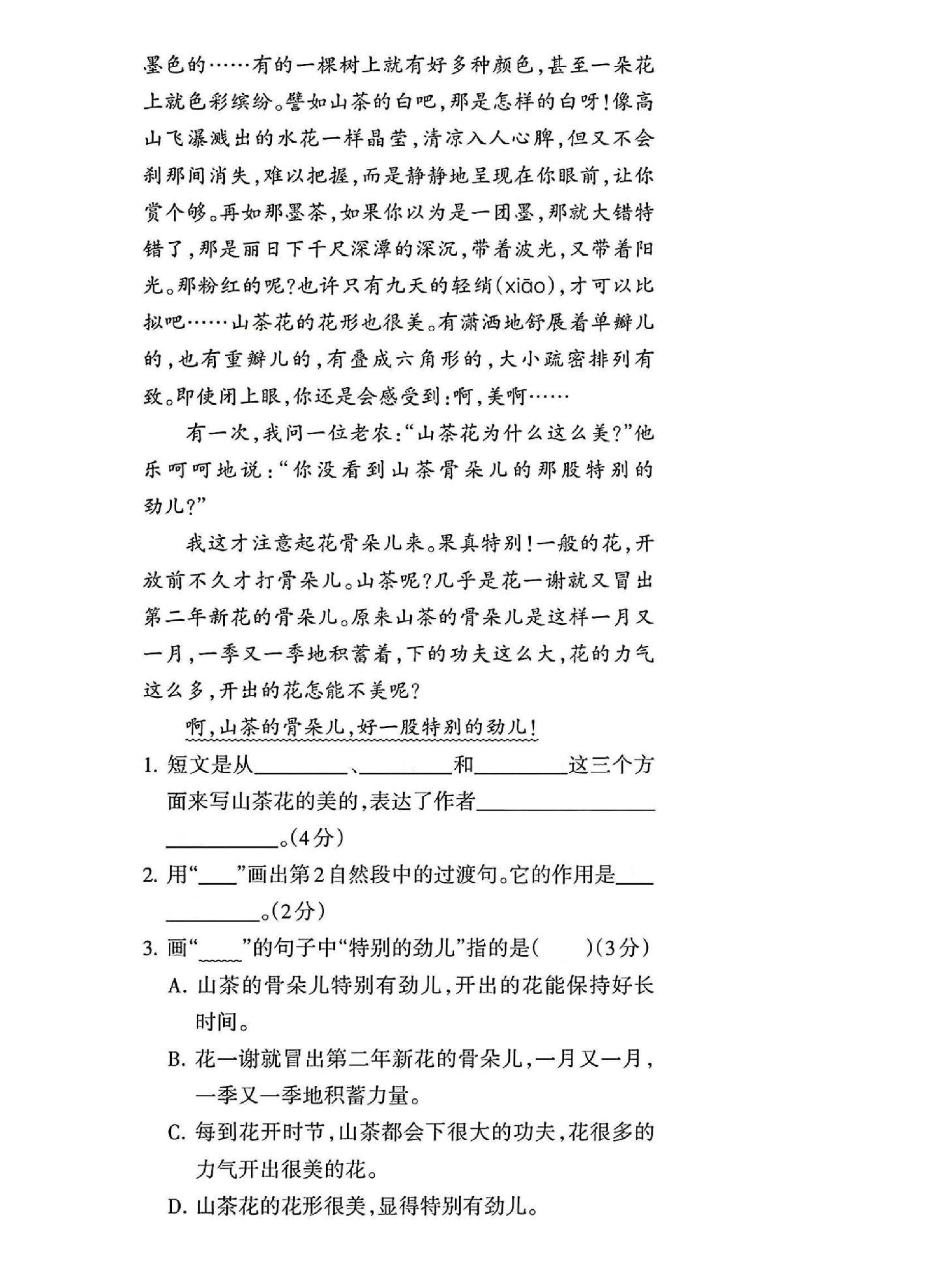 试卷