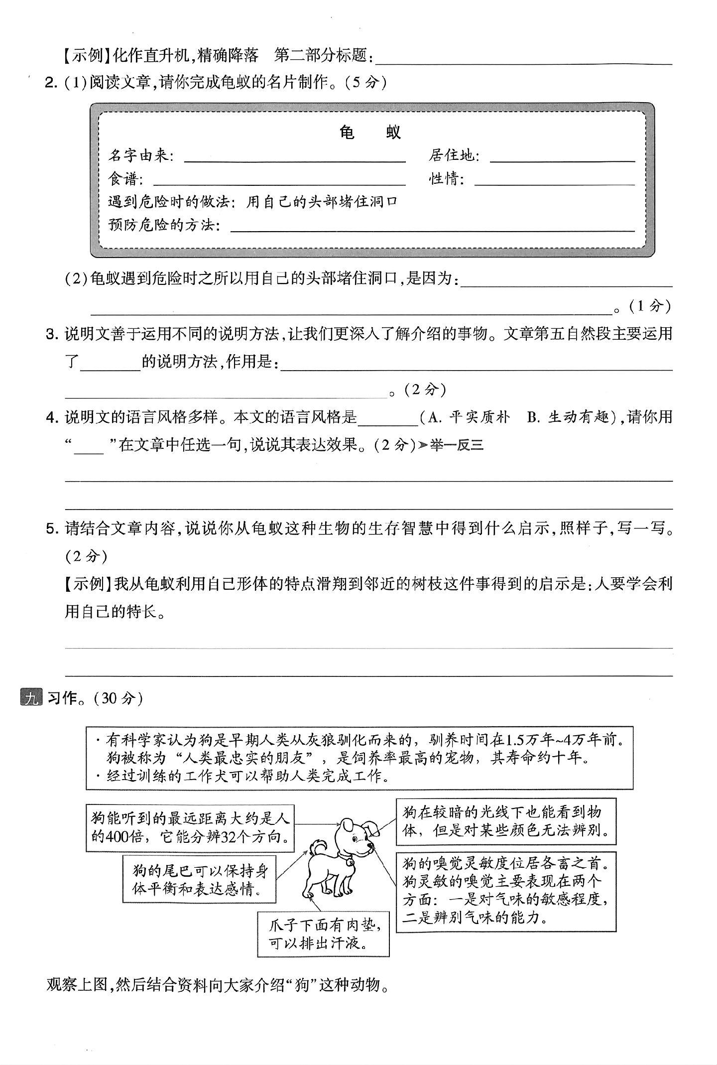 试卷
